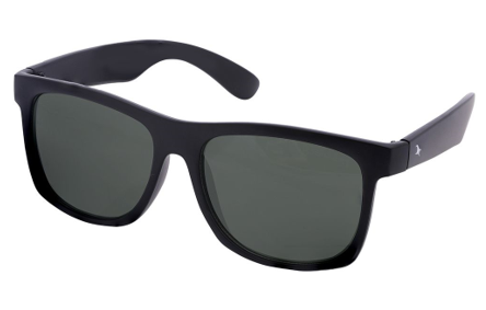 Wayfarers 