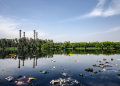Water Pollution